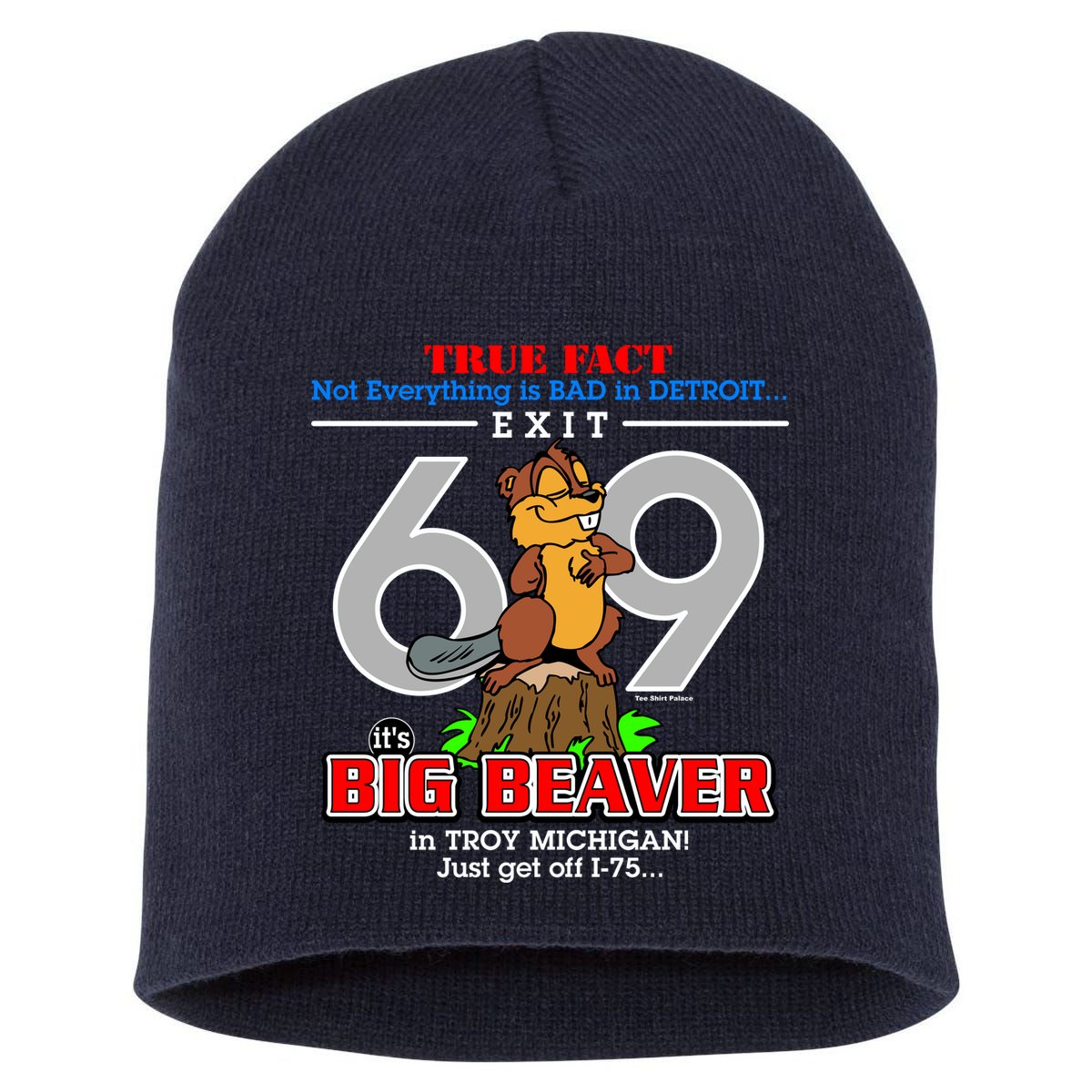 Detroit True Fact Big Beaver Exit 69 Short Acrylic Beanie