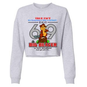 Detroit True Fact Big Beaver Exit 69 Cropped Pullover Crew