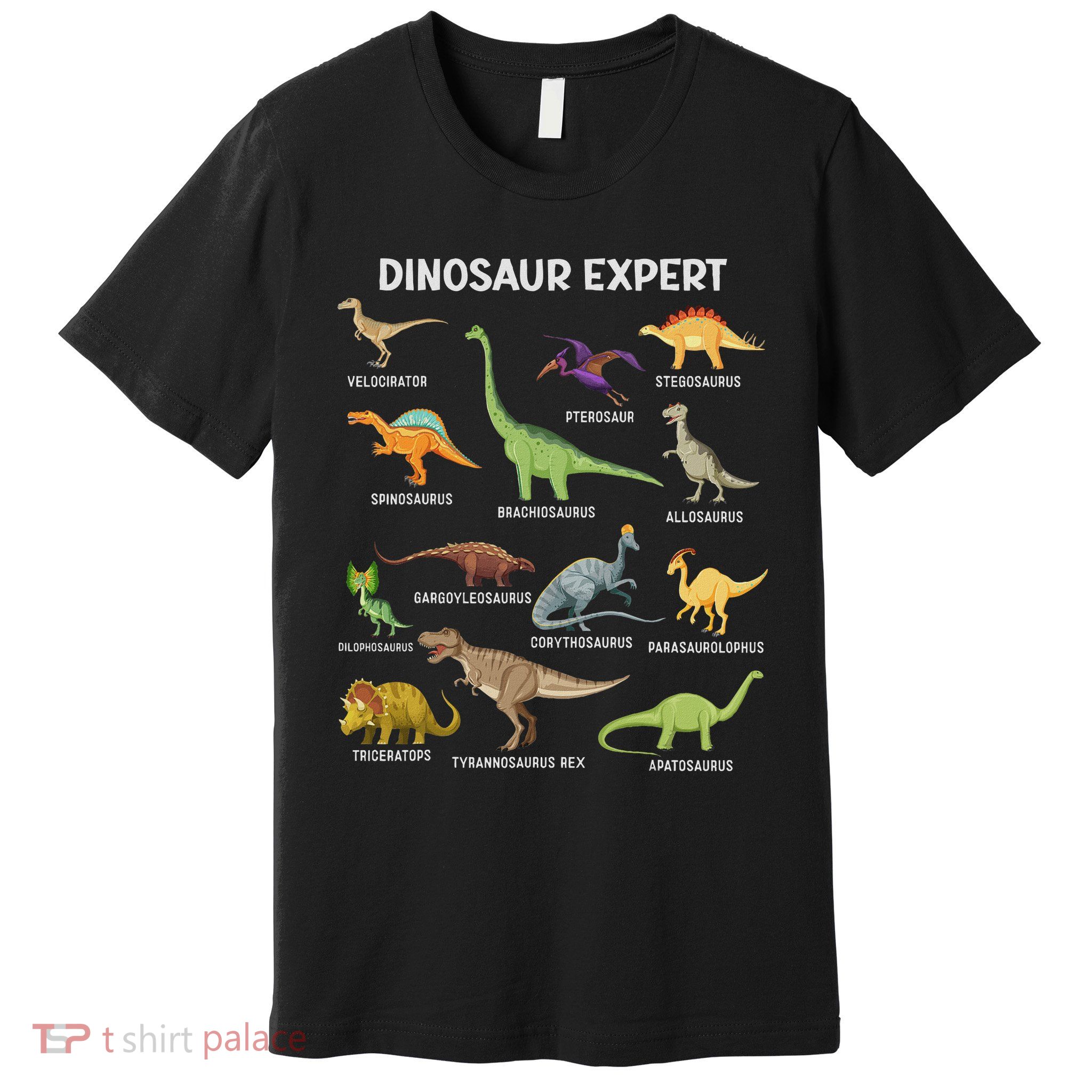 Dinosaur For Adult Cute Dinosaur Premium T-Shirt