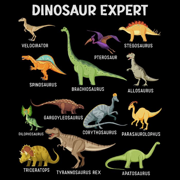 Dinosaur For Adult Cute Dinosaur Toddler T-Shirt