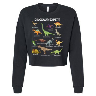 Dinosaur For Adult Cute Dinosaur Cropped Pullover Crew
