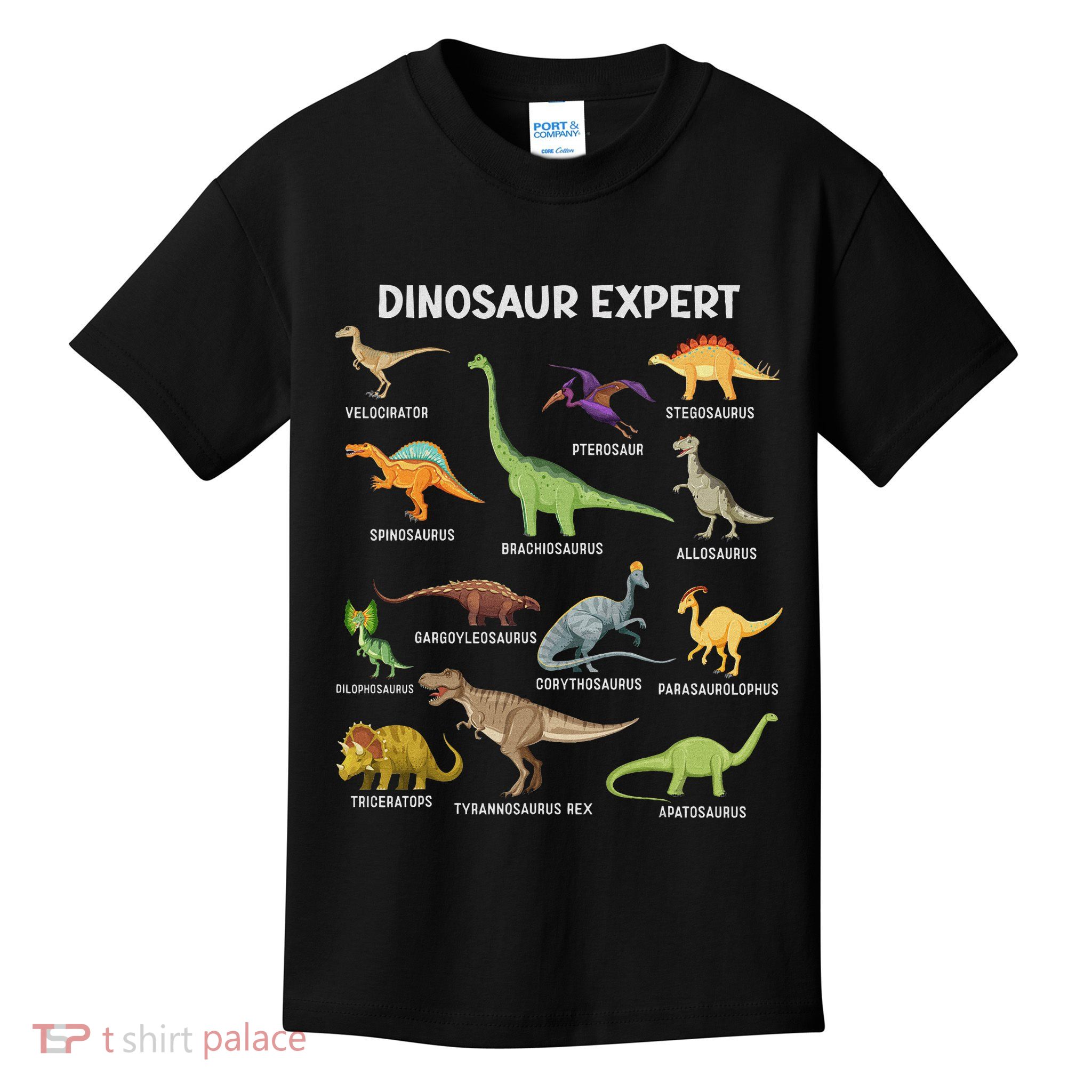 Dinosaur For Adult Cute Dinosaur Kids T-Shirt