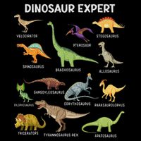 Dinosaur For Adult Cute Dinosaur Bucket Hat