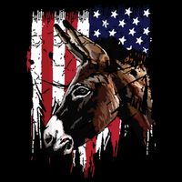 Donkey Farmer American Flag USA Donkey 16 in Basic Backpack