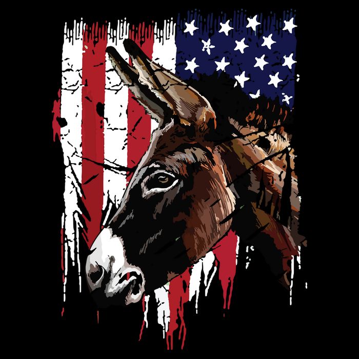 Donkey Farmer American Flag USA Donkey 16 in Basic Backpack