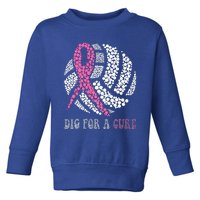 Dig For A Cure Breast Cancer Awareness Volleyball Pink Out Toddler Sweatshirt