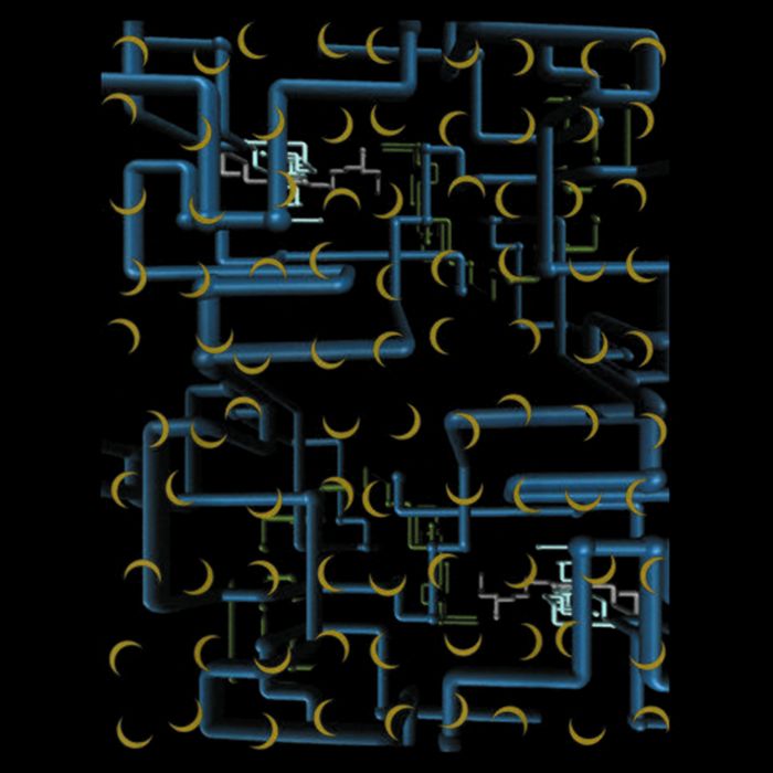 Dan Flashes Complicated Pattern Performance Shirt