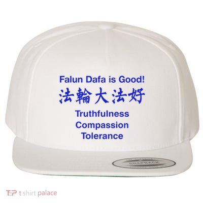 Digitalronin Falun Dafa Is Good Truthfulness Compassion Tolerance Wool Snapback Cap