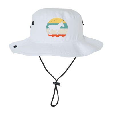 Donkey Funny Legacy Cool Fit Booney Bucket Hat