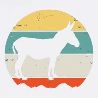 Donkey Funny Wool Snapback Cap