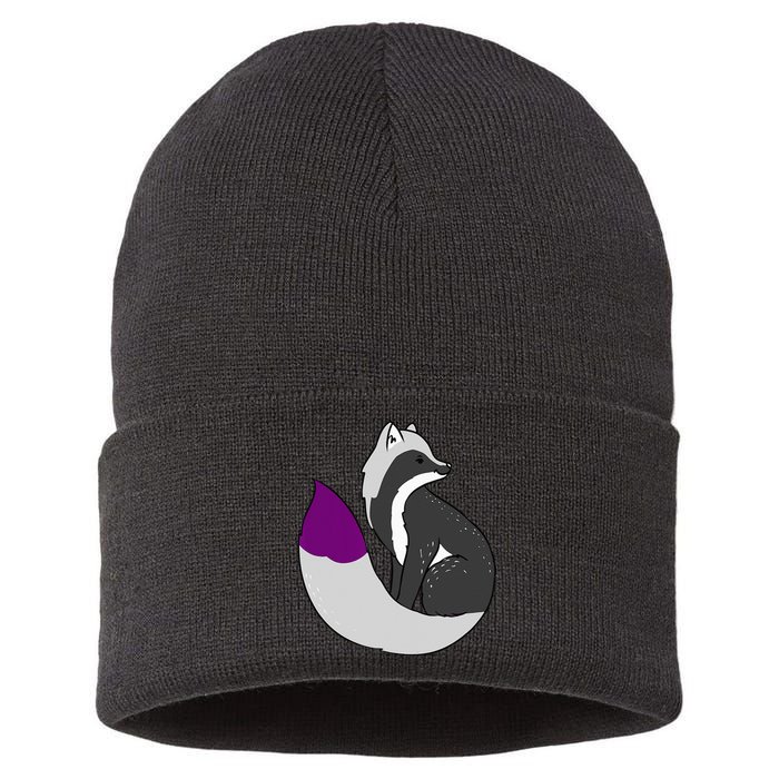 Demisexual Fox Demisexual Pride Sustainable Knit Beanie