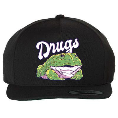 Drugs Frog Funny Wool Snapback Cap