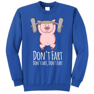 Don't Fart Funny Fitness Gym Workout Squats Gift Sweatshirt