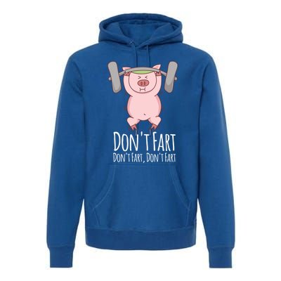 Don't Fart Funny Fitness Gym Workout Squats Gift Premium Hoodie