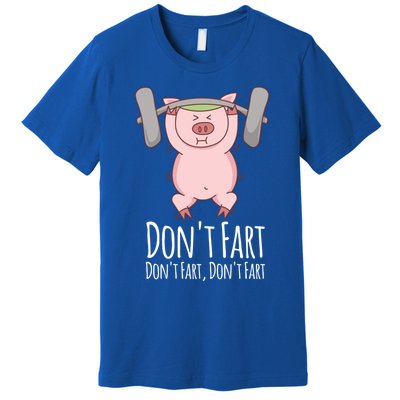 Don't Fart Funny Fitness Gym Workout Squats Gift Premium T-Shirt