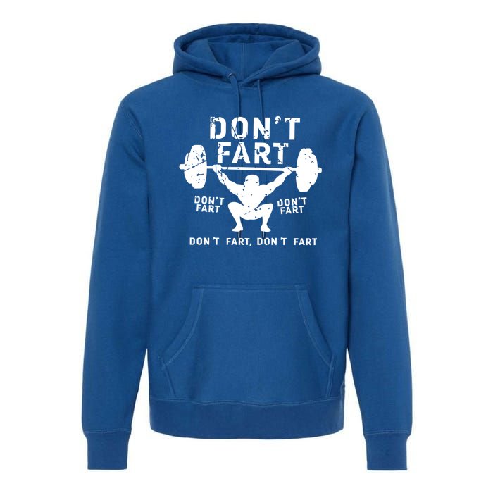 Don't Fart Funny Squat Snatch Fitness Gym Exercise Gift Meaningful Gift Premium Hoodie