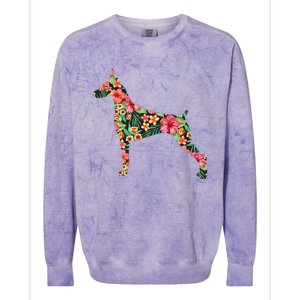 Doberman Flower Funny Dog Silhouette Floral Gifts  Colorblast Crewneck Sweatshirt