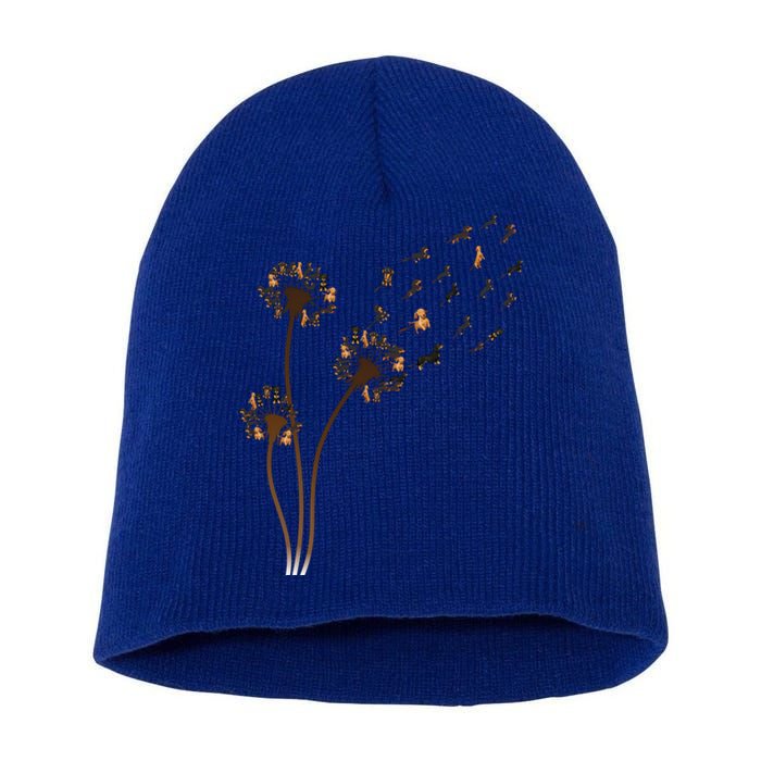 Dachshund Flower Fly Dandelion Funny Cute Dog Lover Great Gift Short Acrylic Beanie