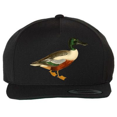 Duck Funny Gift Cute Shoveler Duck Vintage Duck Graphic Gift Wool Snapback Cap