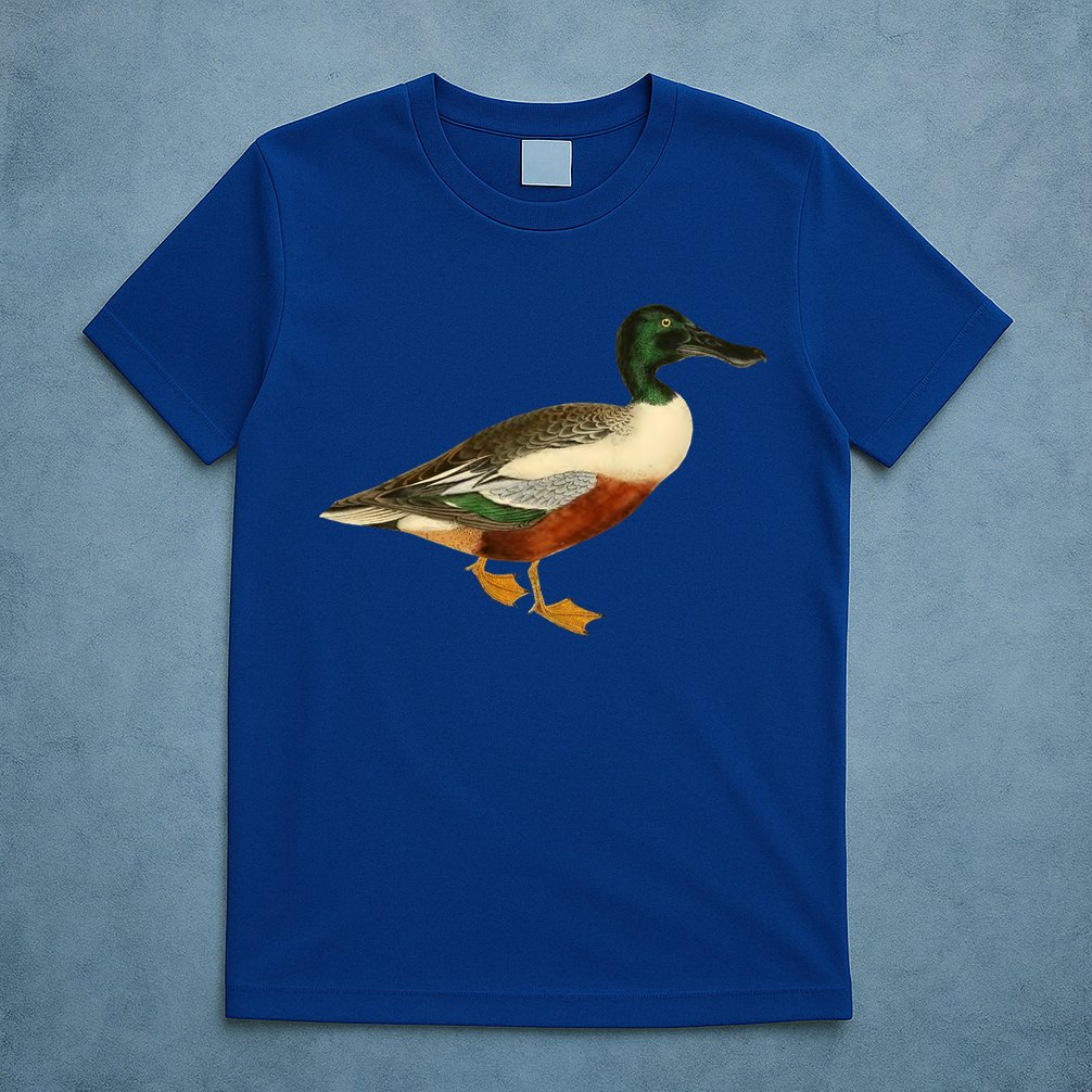 Duck Funny Gift Cute Shoveler Duck Vintage Duck Graphic Gift T-Shirt
