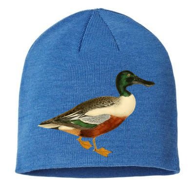 Duck Funny Gift Cute Shoveler Duck Vintage Duck Graphic Gift Sustainable Beanie