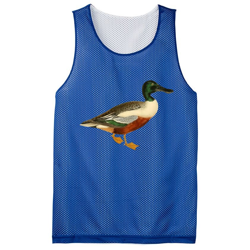 Duck Funny Gift Cute Shoveler Duck Vintage Duck Graphic Gift Mesh Reversible Basketball Jersey Tank
