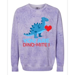 Dinosaur Funny Gift You Are Dinofunny Giftmite Gift Colorblast Crewneck Sweatshirt