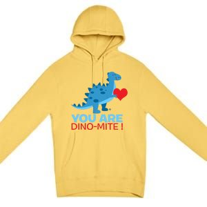 Dinosaur Funny Gift You Are Dinofunny Giftmite Gift Premium Pullover Hoodie