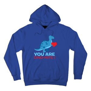 Dinosaur Funny Gift You Are Dinofunny Giftmite Gift Hoodie