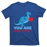 Dinosaur Funny Gift You Are Dinofunny Giftmite Gift T-Shirt