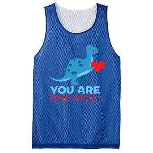 Dinosaur Funny Gift You Are Dinofunny Giftmite Gift Mesh Reversible Basketball Jersey Tank