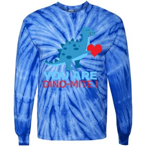 Dinosaur Funny Gift You Are Dinofunny Giftmite Gift Tie-Dye Long Sleeve Shirt