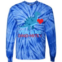 Dinosaur Funny Gift You Are Dinofunny Giftmite Gift Tie-Dye Long Sleeve Shirt