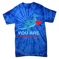 Dinosaur Funny Gift You Are Dinofunny Giftmite Gift Tie-Dye T-Shirt