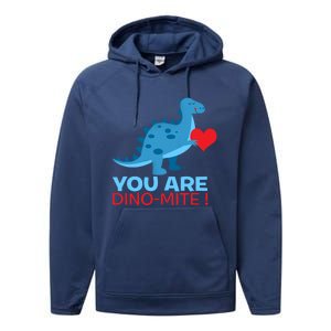 Dinosaur Funny Gift You Are Dinofunny Giftmite Gift Performance Fleece Hoodie