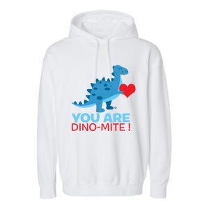 Dinosaur Funny Gift You Are Dinofunny Giftmite Gift Garment-Dyed Fleece Hoodie