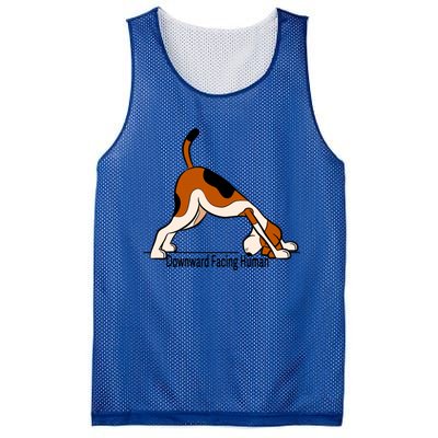 Downward Facing Hu Gift Funny Dog Yoga Gift Mesh Reversible Basketball Jersey Tank