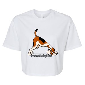 Downward Facing Hu Gift Funny Dog Yoga Gift Bella+Canvas Jersey Crop Tee