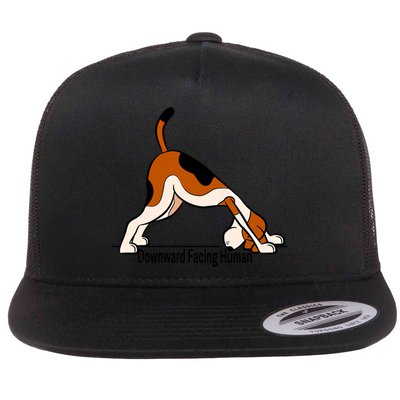 Downward Facing Hu Meaningful Gift Funny Dog Yoga Funny Gift Flatbill Hat
