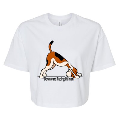 Downward Facing Hu Meaningful Gift Funny Dog Yoga Funny Gift Bella+Canvas Jersey Crop Tee