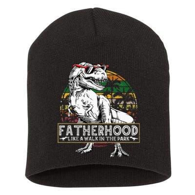 Dinosaur Fatherhood Is A Walk In The Park Fathers Short Acrylic Beanie