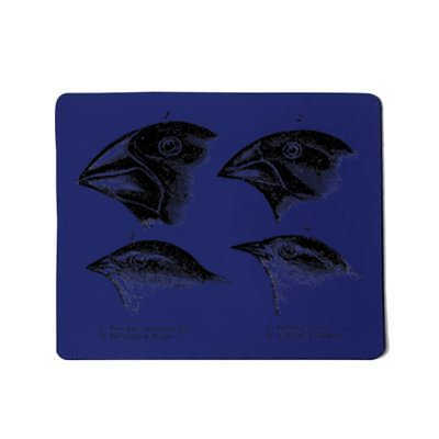 DarwinS Finches Illustration Evolution Atheist Mousepad