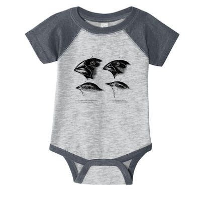 DarwinS Finches Illustration Evolution Atheist Infant Baby Jersey Bodysuit