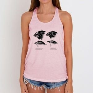 DarwinS Finches Illustration Evolution Atheist Women's Knotted Racerback Tank