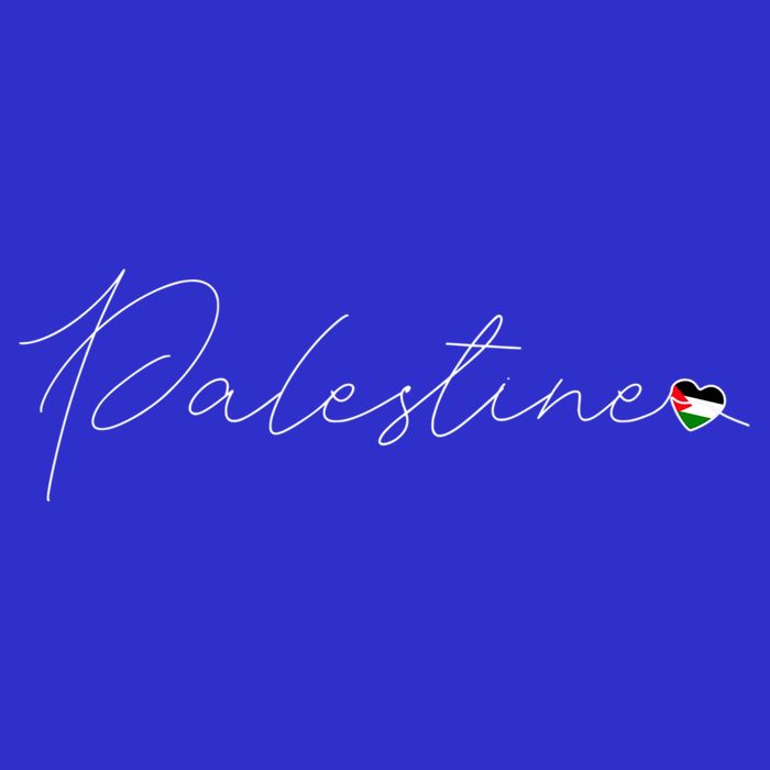 Dawlat Filastin Love Palestinian Flag Heart On Palestine Gift 16 in Basic Backpack
