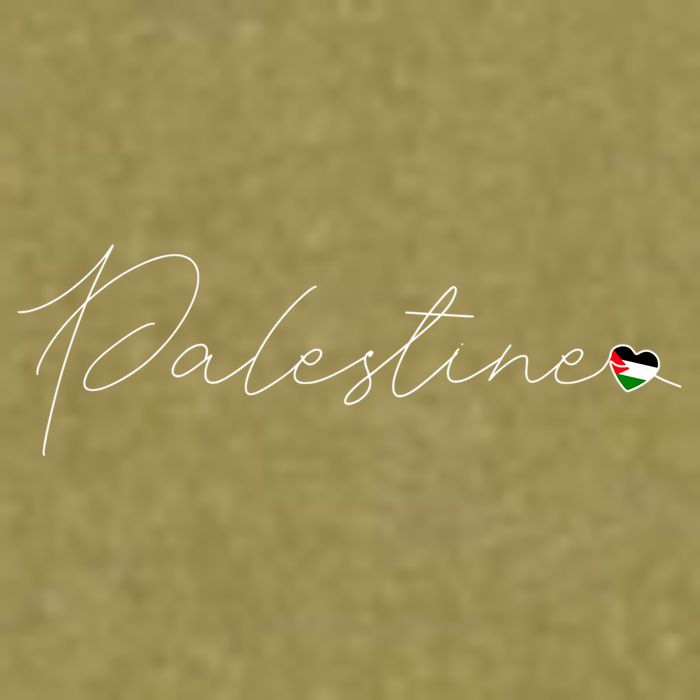 Dawlat Filastin Love Palestinian Flag Heart On Palestine Gift Garment-Dyed Women's Muscle Tee