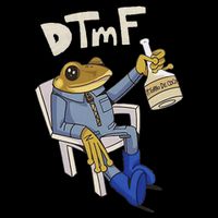 Dtmf Frog Puerto Rico T-Shirt