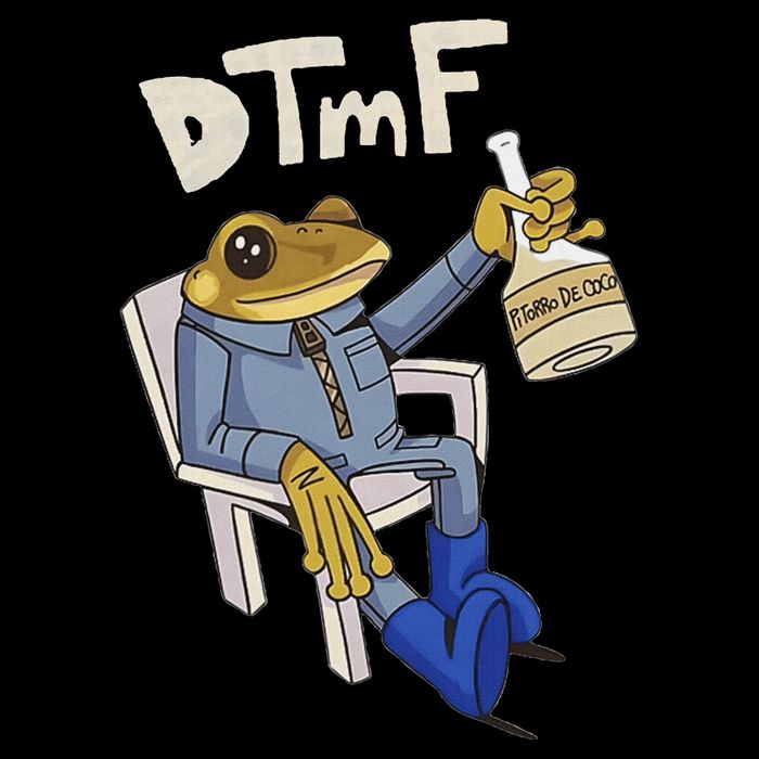 Dtmf Frog Puerto Rico T-Shirt