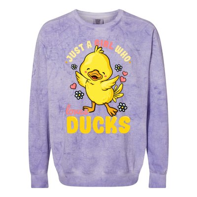 Ducks Funny Rubber Duck Gift Colorblast Crewneck Sweatshirt