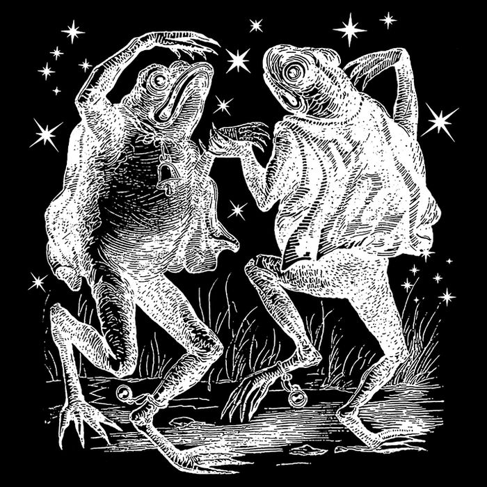 Dancing Frog Stars Vintage Bag